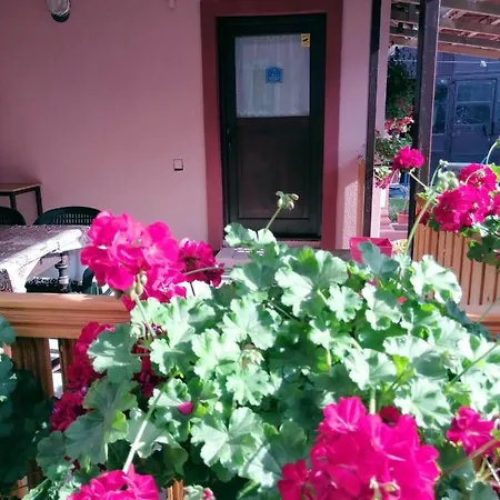 Apartman Golubovic Apartment *