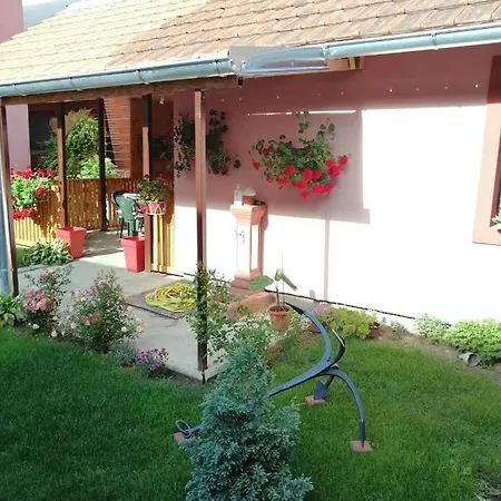 Apartman Golubovic *