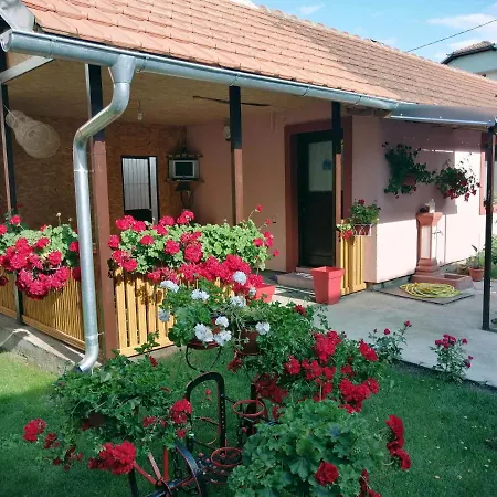 Apartman Golubovic * Golubac