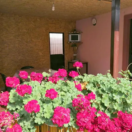 Apartment Apartman Golubovic *